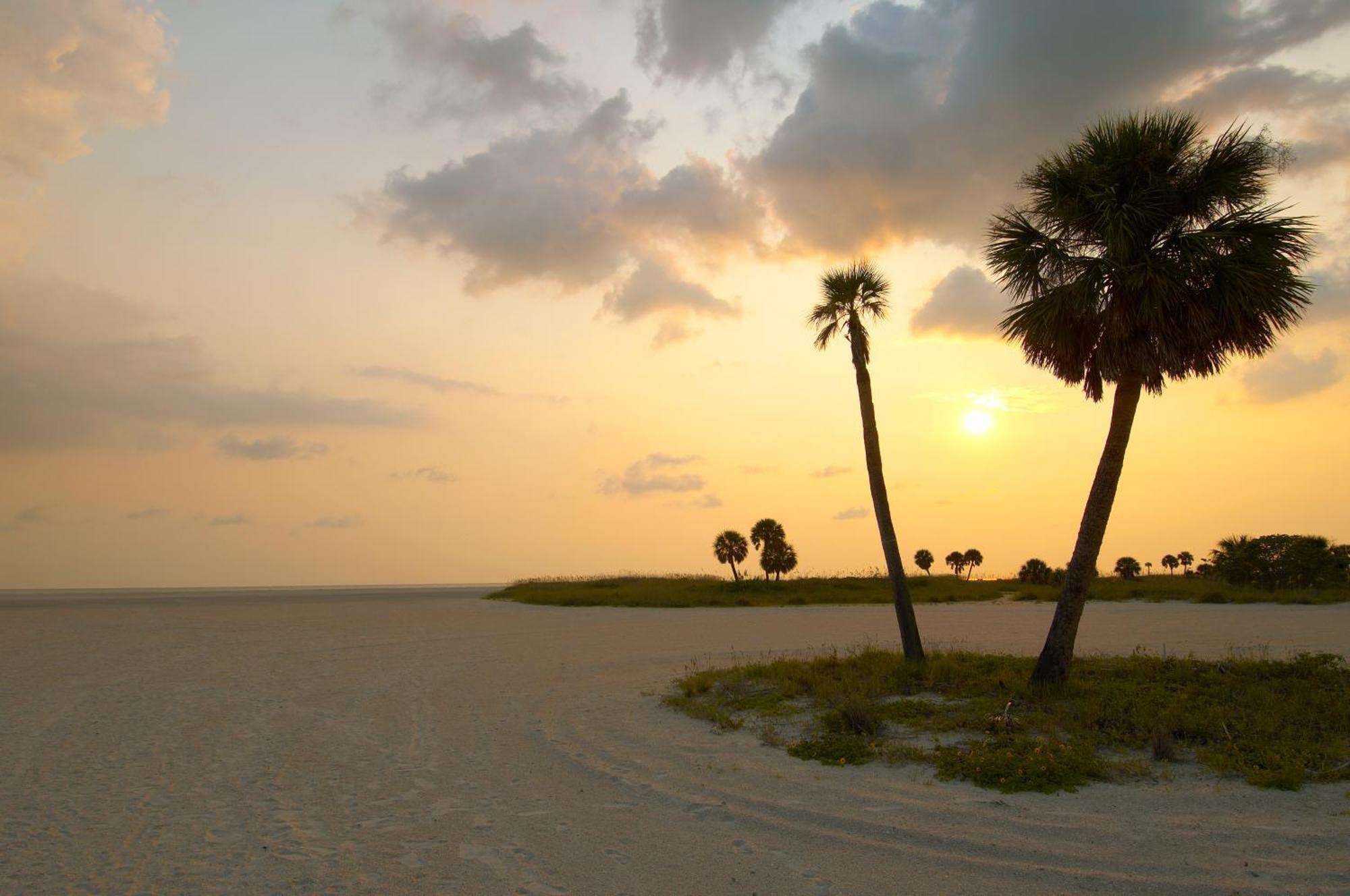 South Beach Oceanfront Resort St. Pete Beach Eksteriør billede
